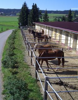 Tiere1